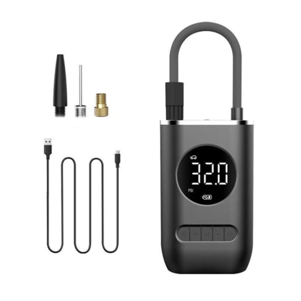 Typus-C line plastic caeli sentinam